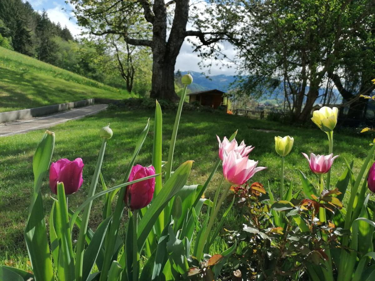 Hoerandlhof Aigen im Ennstal Exteriér fotografie