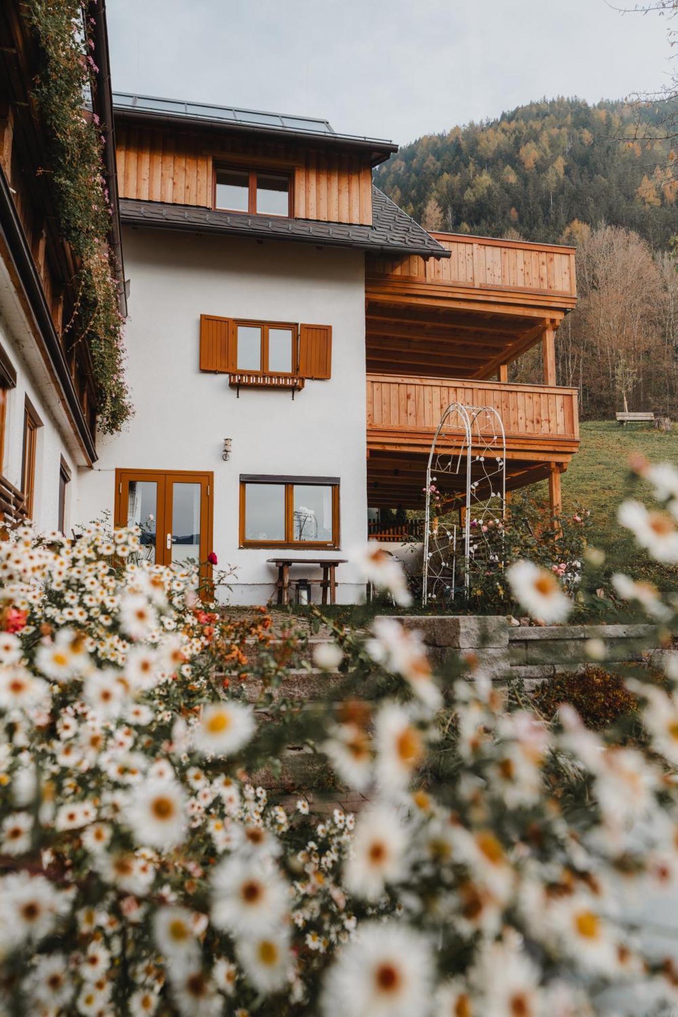 Hoerandlhof Aigen im Ennstal Exteriér fotografie